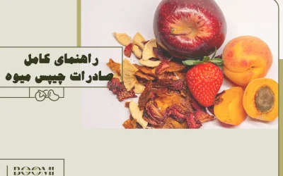 راهنمای کامل صادرات چیپس میوه