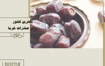 بهترین کشور برای صادرات خرما