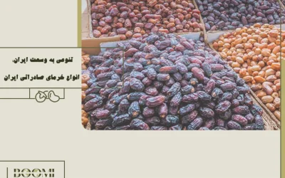 تنوعی به وسعت ایران: انواع خرمای صادراتی ایران