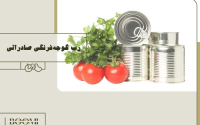 رب گوجه‌فرنگی صادراتی 