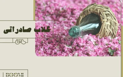 گلاب صادراتی: راهنمای کامل صادرات گلاب ایران