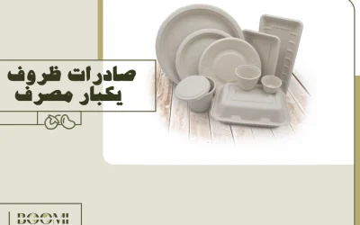 صادرات ظروف یکبار مصرف