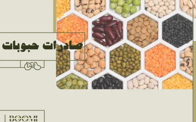 Legume Export: A Profitable Opportunity for Supermarkets Outside Iran