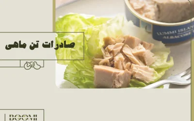 A Comprehensive Guide to Canned Tuna Export | Target Markets, Steps, and Benefits