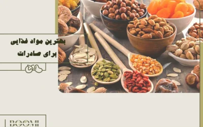 بهترین مواد غذایی برای صادرات