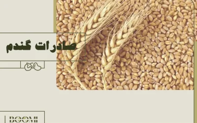 صادرات گندم