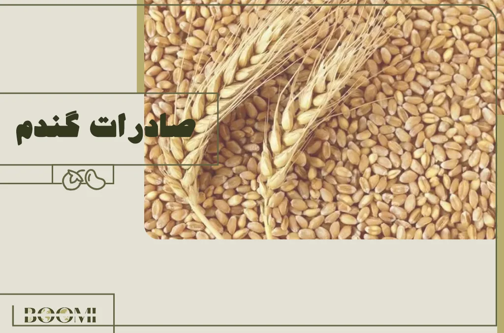 صادرات گندم